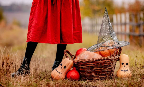 Pumpkins Kosár Áll Lányok Lábánál — Stock Fotó