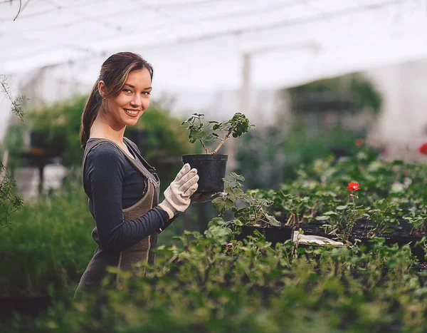 Gadis Yang Bekerja Kebun Dengan Bibit Dalam Pot — Stok Foto