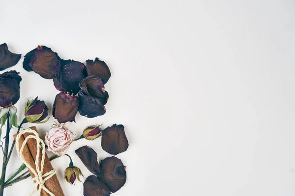 玫瑰花瓣装饰肉桂物体浅色背景 — 图库照片