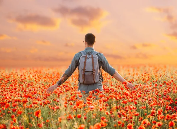 日没時に赤いポピー草原を歩くバックパッカーの男 — ストック写真