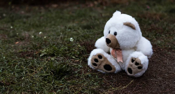 Bonito Adorável Perdido Abandonado Macio Pelúcia Recheado Crianças Brinquedo Ursinho — Fotografia de Stock