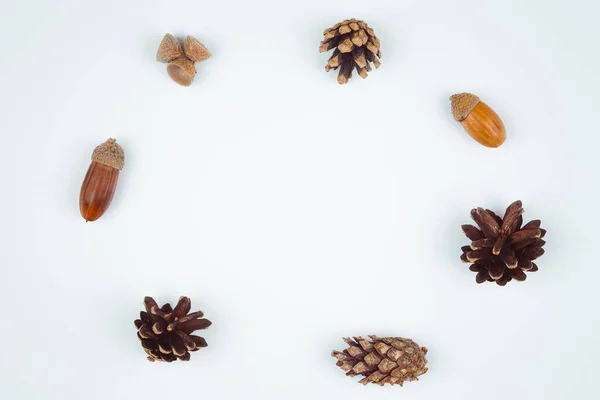 Autumn composition, frame made of pine cones, acorns and chestnuts. Flat lay, top view