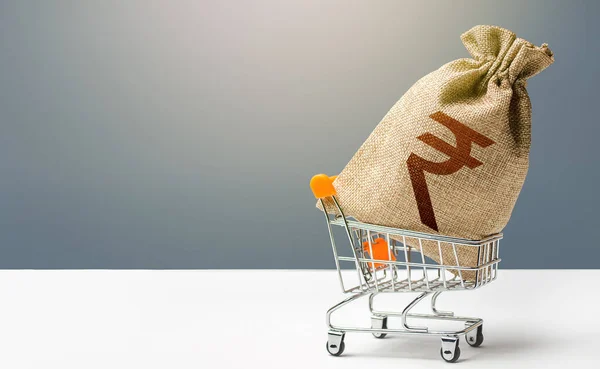Hint Rupisi Para Çantası Bir Alışveriş Arabasında Kâr Süper Kâr — Stok fotoğraf