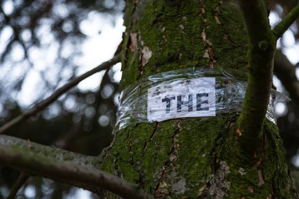 用胶带把一张纸绑在树上 森林和环境污染概念 — 图库照片