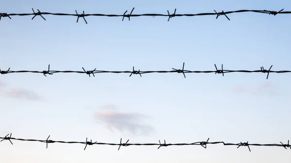 Barbed Wire Blue Sky Closeup Fence Fencing Closed Area — Stock Photo, Image