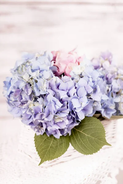Vackra Blommande Blommor Begreppet Sommartid — Stockfoto