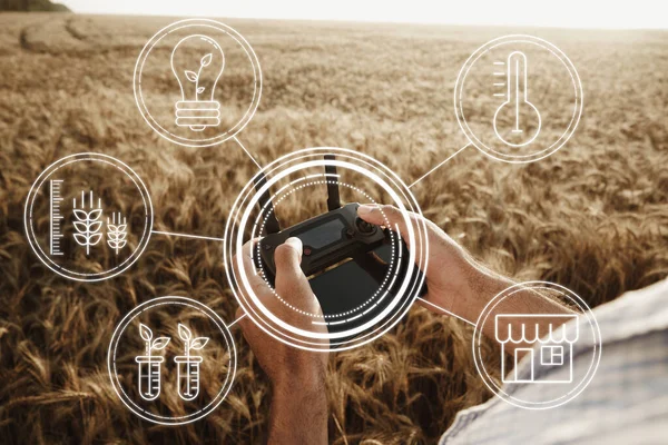 Man Farmer Standing Wheat Field Controlling Drone Technologies Agriculture Concept — Stock Photo, Image