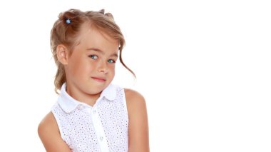 Japon kavun, bal kavun veya kavun beyaz arka plan üzerinde izole