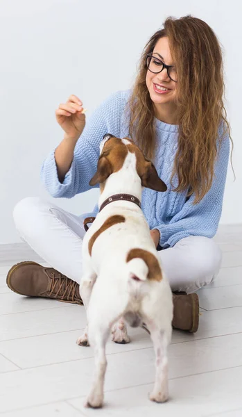 Pets owner concept - Attractive cheerful female in blue sweater playing with her favourite pet. Happy woman with her jack russell terrier