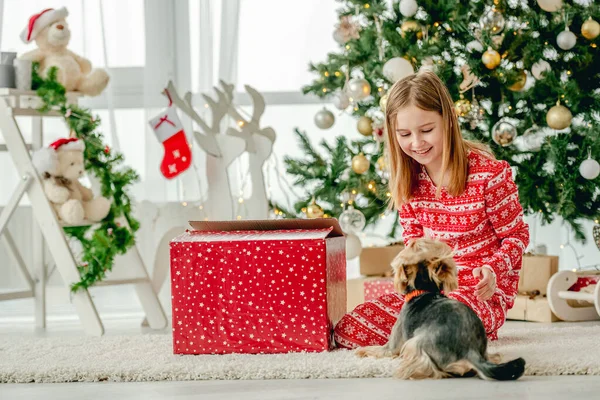 Barn Juletid Söt Liten Flicka Leker Med Hunden — Stockfoto