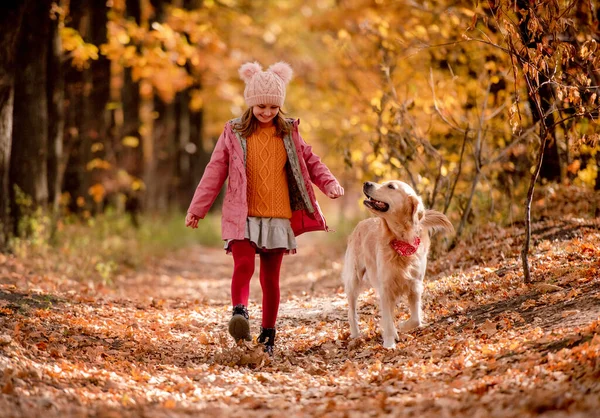 Preteen Criança Golden Retriever Cão — Fotografia de Stock