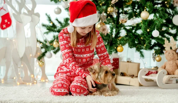 クリスマスの時間の子供 犬と遊ぶかわいい少女 — ストック写真
