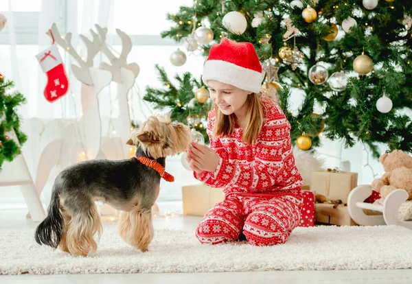 Noel Zamanı Çocuk Sevimli Küçük Kız Köpekle Oynuyor — Stok fotoğraf