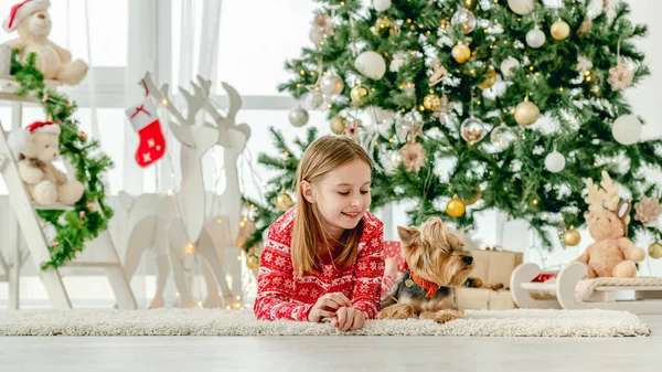 Enfant Période Noël Mignonne Petite Fille Jouant Avec Chien — Photo