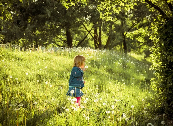 Glückliches Kleines Mädchen Auf Dem Feld — Stockfoto