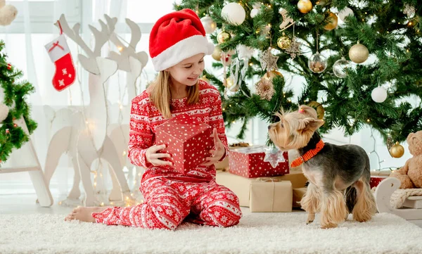 Criança Época Natal Linda Menina Brincando Com Cão — Fotografia de Stock