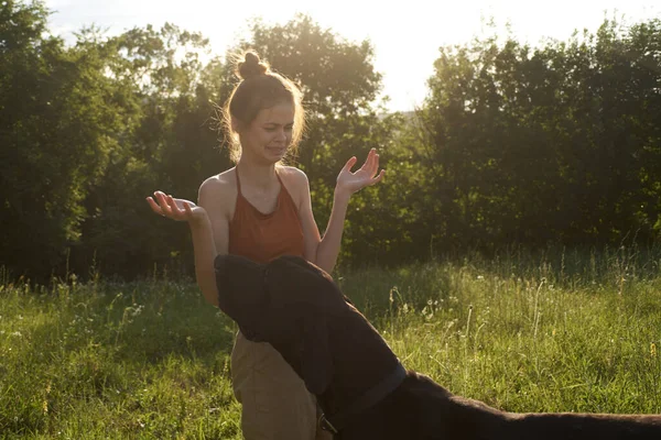 Fröhliche Frau Spielt Sommer Mit Hund Auf Einem Feld Der — Stockfoto