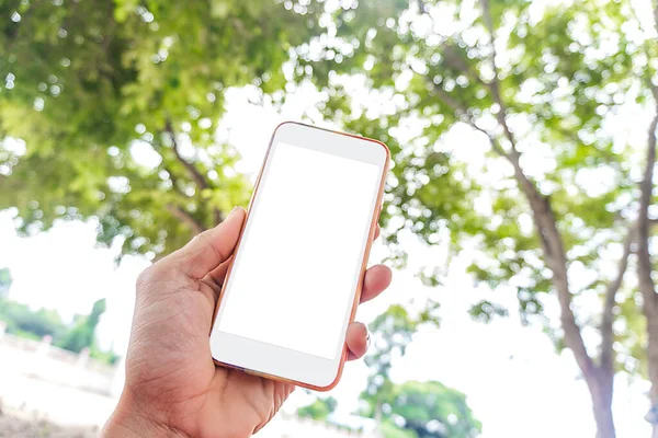 White screen mockup phone with Asian man hands holding smartphone with blank copy space screen for your text message or information content on green tree bokeh background fresh style
