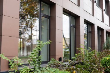 yeşil peyzaj bir iş binasının dış cephesi yakınında.