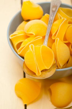 close-up shot of delicious Italian pasta