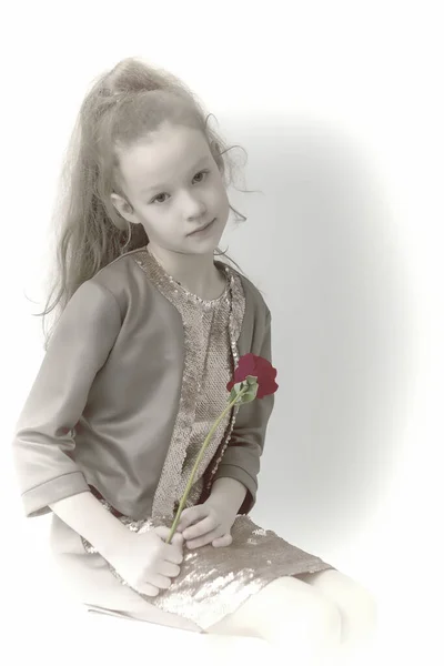 Schöne Mädchen Sitzt Mit Einer Rose Den Händen — Stockfoto