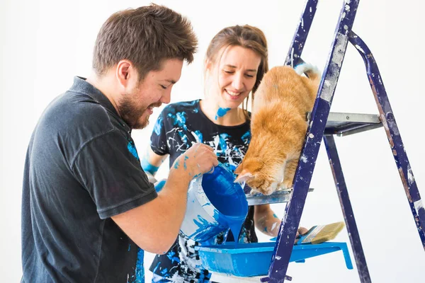 People Renovation Repair Concept Portrait Happy Couple Cat Pour Paint — Stock Photo, Image