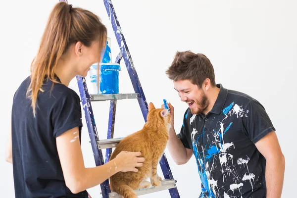 People Redecoration Renovation Concept Portrait Couple Cat Pour Paint — Stock Photo, Image