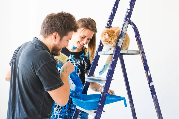 Επισκευή Χρώμα Άνθρωποι Έννοια Ζευγάρι Γάτα Ζωγραφίσει Τον Τοίχο Ετοιμάζουν — Φωτογραφία Αρχείου