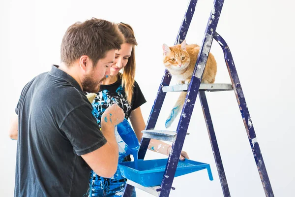 People Redecoration Relationship Concept Young Funny Couple Cat Doing Renovation — Stock Photo, Image