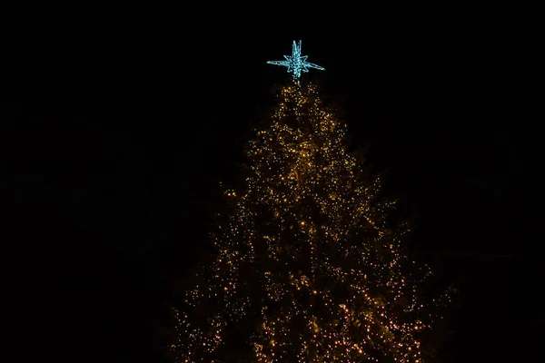 Lviv Ukraina December 2020 Nyår Och Julgran Den Europeiska Staden — Stockfoto