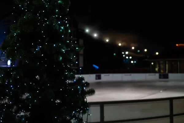 アイスリンクとクリスマスツリーの夜景 — ストック写真