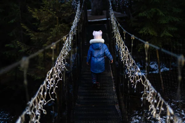 Kerstverlichting Brug Gele Bloemenslingers Bridge Winternacht — Stockfoto