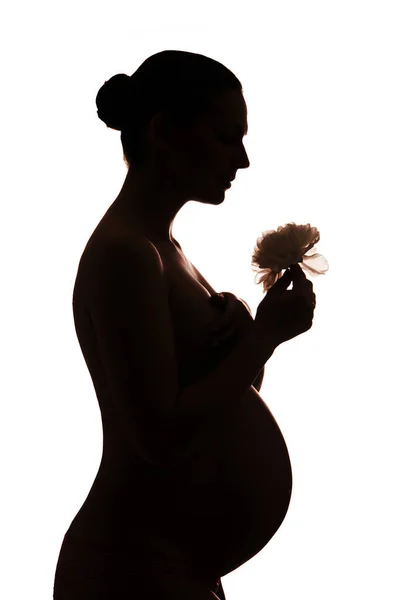 Silueta Mujer Embarazada Sosteniendo Flor — Foto de Stock