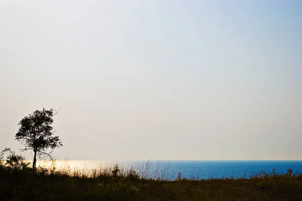 Tagesanbruch Einer Wunderschönen Bucht Mit Dem Baum — Stockfoto