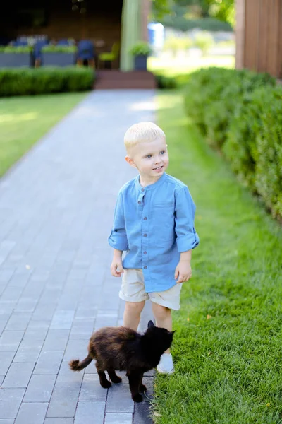 Piccolo Bambino Biondo Maschio Camicia Jeans Piedi Con Gatto Cortile — Foto Stock