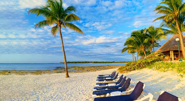 Cadeiras Praia Areia Branca Costa — Fotografia de Stock