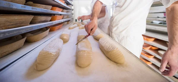 Bakers Preparing Dough — Stock Photo, Image