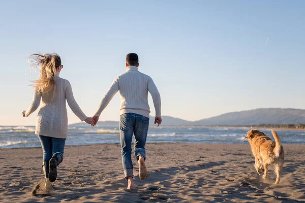 Casal Com Cão Divertindo Praia Dia Outono — Fotografia de Stock