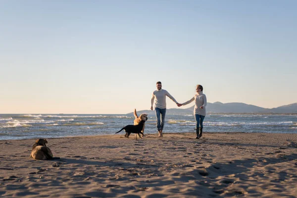 Ζευγάρι Σκύλο Διασκεδάζουν Στην Παραλία Την Ημέρα Autmun — Φωτογραφία Αρχείου