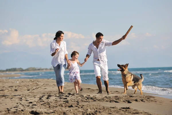 Gelukkig Familie Spelen Met Hond Het Strand Stockafbeelding