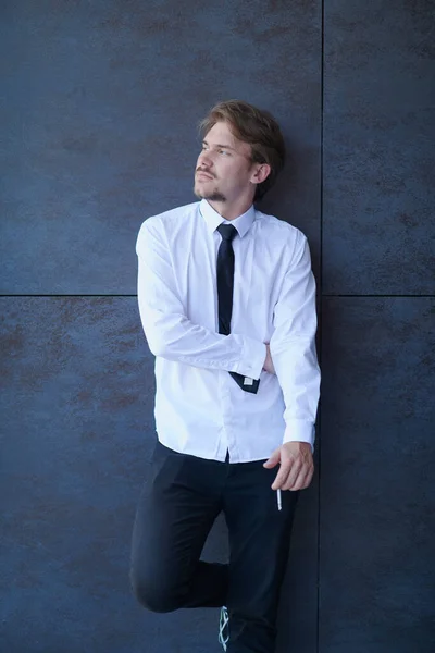 Retrato Hombre Negocios Startup Una Camisa Blanca Con Corbata —  Fotos de Stock