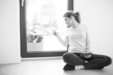 Kedileri arka planda karda olan tablet bilgisayar kullanan kadın