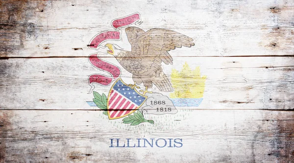 Flag State Illinois Wood Background — Stock Photo, Image