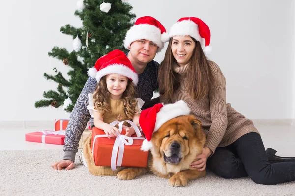 假期和节日观念 有狗的家庭都坐在圣诞树旁的地板上 — 图库照片
