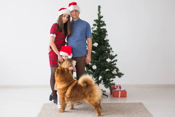 Pet Feriados Conceito Festivo Família Com Cão Estão Perto Árvore — Fotografia de Stock
