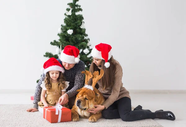 Pet Feriados Conceito Festivo Família Com Cão Estão Perto Árvore — Fotografia de Stock