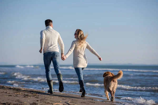 与狗在秋天的海滩上玩得开心的夫妇 — 图库照片