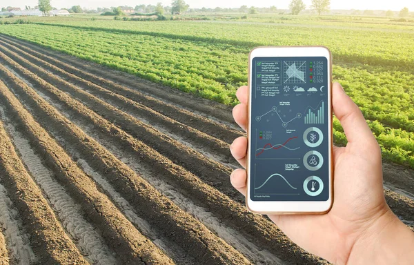 手は作物の状態分析インフォグラフィックと携帯電話を保持しています 品質管理 農業における革新的な近代技術 モノのインターネット 収穫品質を向上させるためのデータ 予測を収集する — ストック写真