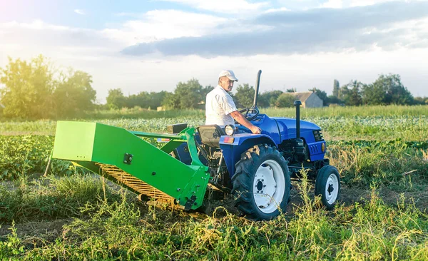Adult Caucasian Farmer Driver Farm Tractor Drives Field Harvest Potatoes — Stock Photo, Image