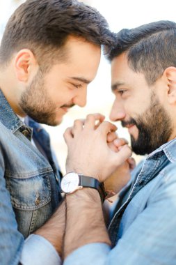 Portrait of young gays holding hands and wearing jeans shirts. clipart